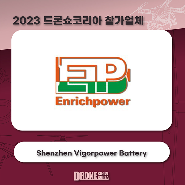 Shenzhen Vigorpower Battery